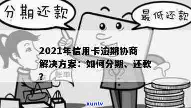 金豪普洱熟茶：品质、 *** 工艺、口感、功效与泡法全面解析，助您选购和品鉴