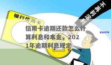 逾期还款：信用卡本金与利息计算方式大揭秘