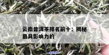 云南特产茶叶推荐：探索京东榜上有名的普洱散茶与十大排行