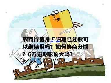 农商行信用卡6万逾期问题解析：如何处理、影响及解决方案全面了解