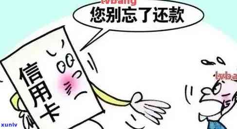 信用卡欠款引发法律纠纷：如何应对银行报案和经济调查？