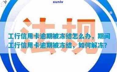 新工商银行蓄卡由于信用卡还款逾期被冻结，如何解冻处理方案？