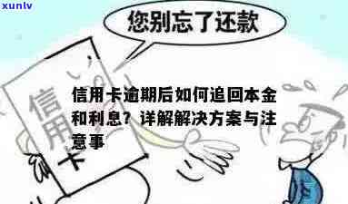 信用卡逾期还款后，如何处理逾期金额并退回？详解操作步骤及注意事项