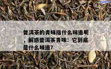 普洱茶青味什么意思