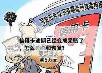 翡翠都有哪些知名厂家？请推荐几个高品质翡翠生产厂家。