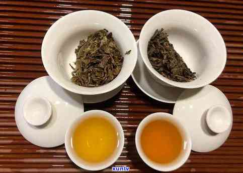 两种 *** 轻松搞定普洱茶茶饼，让你泡出醇香口感