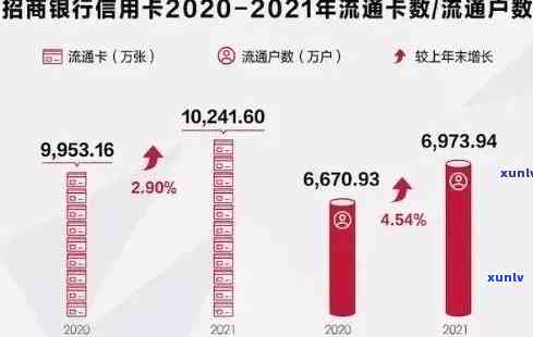 2021年信用卡逾期数据全方位解析：如何查询、影响及解决方案