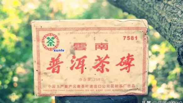 70年代普洱茶厂历沿革与价格影响分析