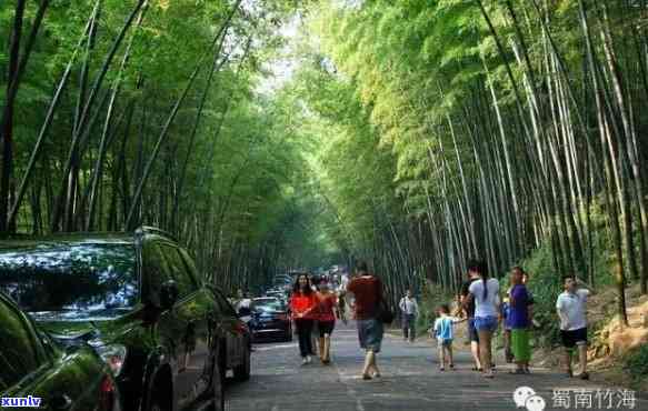 蜀南竹海翡翠长廊导游词：美丽宁静的翡翠山庄与度假村 *** 