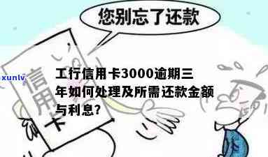 工行信用卡逾期一年半还款计算：3000元欠款可能产生的费用和总还款金额解析