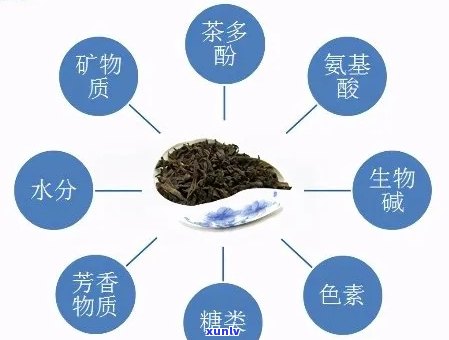 普洱茶为什么含有铜离子：探究普洱茶中的金属元素来源