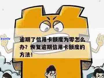 信用卡逾期降额解决方案：信用修复与额度提升技巧