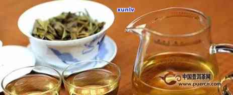 冰岛普洱茶冲泡技艺与投茶量指南