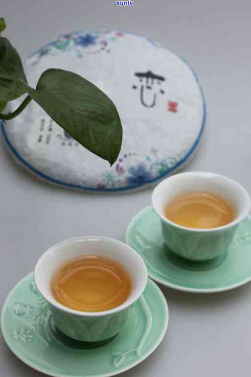 从准备到品味：一站式泡茶普洱茶详细步骤解析