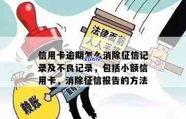 新信用卡逾期未被报告记录？掌握正确解决 *** 和原因