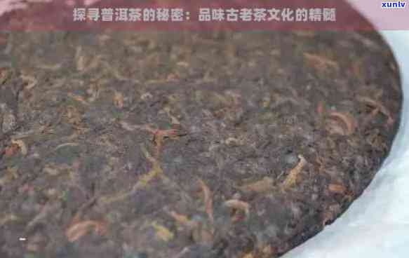 探寻普洱茶：中国茶文化的秘密库与品鉴指南