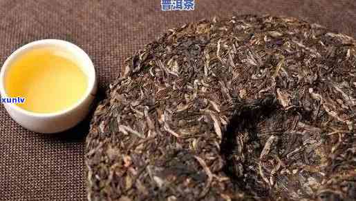 冰岛普洱熟茶的区别：性价比更高，价格与品质对比