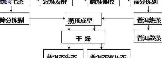 普洱茶加盟项目详细指南：如何开展招商、加盟条件、流程及盈利分析