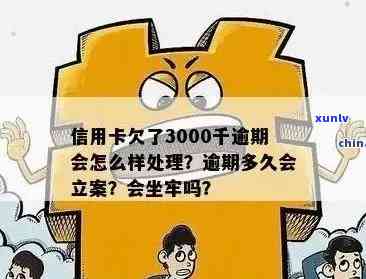 欠信用卡3000逾期多久立案：成功与否的关键因素解析