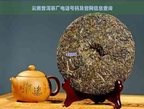 昆明普洱茶招商 *** 