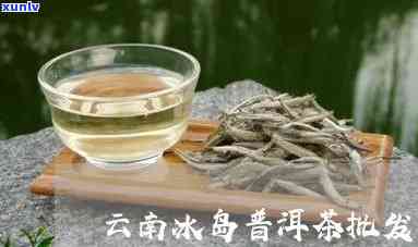 云南特色冰岛茶香熟普洱，茶王之选与批发价优