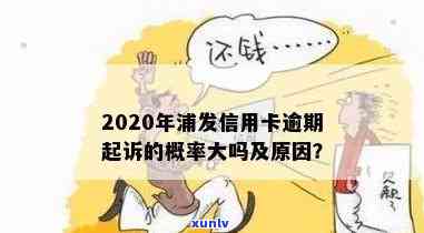 '2020年浦发信用卡逾期起诉的概率大吗：政策与法规解析'