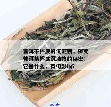 探究普洱茶中沉淀物的成因及相关解析