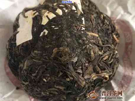 普洱茶中白色漂浮物的成因及对茶叶品质的影响解析