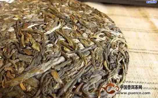 河源地区普洱茶特经营指南：成功 *** 的秘诀与条件分析