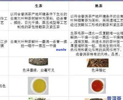 河源地区普洱茶特经营指南：成功 *** 的秘诀与条件分析