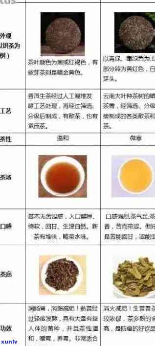 普洱茶原料等级划分：详细解读与标准比较