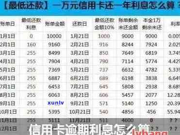 信用卡逾期罚息解决方案：计算与利息分析