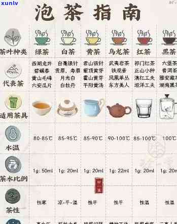 普洱茶冲泡指南：一人份泡茶量的科学计算与适合的杯型选择