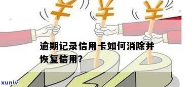 新信用卡逾期记录消除策略：快速恢复信用的关键步骤