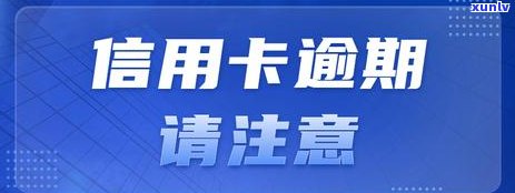 信用卡逾期还款违约金：相关政策与合理性探讨