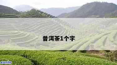 用一个字形容普洱茶