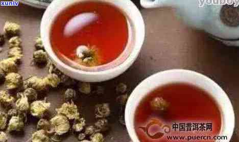 菊花茶与普洱茶功效区别：哪个更优？同时泡有什么效果？