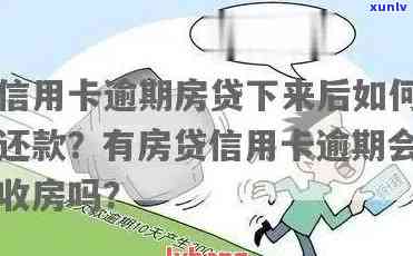 赤峰地区优质玉器雕刻工作室搜索指南：了解地点、技能和服务