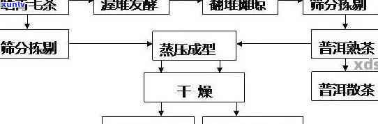 浙江普洱茶种植技术与管理实践与产地研究报告