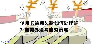 信用卡逾期还款策略：如何成功自救？