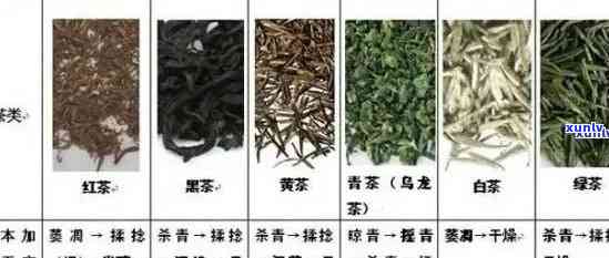 普洱茶：一种独特的发酵茶，还是绿茶或红茶？究竟属于哪种茶叶？