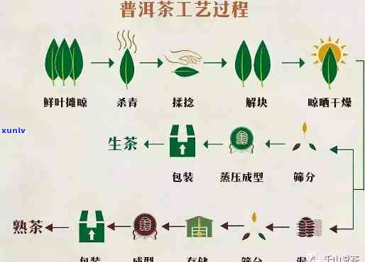 普洱茶：属于绿茶还是其他茶类？探讨其起源、 *** 工艺及茶叶特点