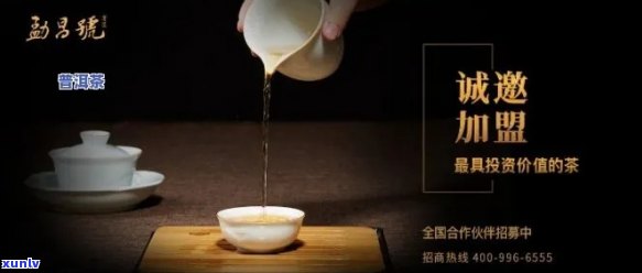 普洱茶加盟招商全方位解决方案：从推广到市场展，助力您的成功之路