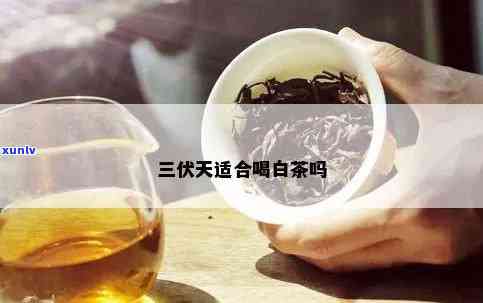 三伏天可以喝茶叶吗？百度百科告诉你为什么