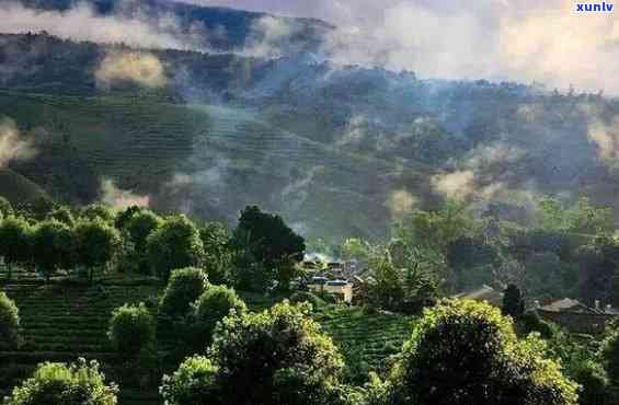 云南普洱茶山旅游攻略：探秘普洱茶山景区和度假区的美景