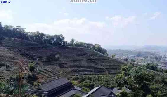 云南普洱茶山旅游攻略：探秘普洱茶山景区和度假区的美景