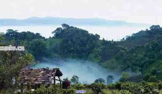 云南普洱茶山旅游攻略：探秘普洱茶山景区和度假区的美景