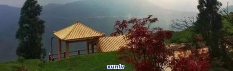 普洱茶山之巅：探寻六大茶山与十大名山的秘境