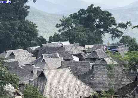 北海茶叶市场招商加盟：打造优质普洱茶