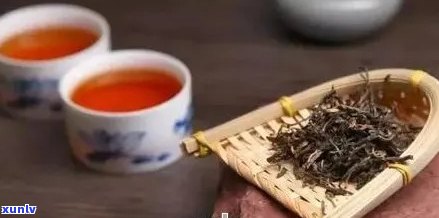 普洱茶与多种饮品搭配指南：如何搭配才能发挥普洱茶的口感？